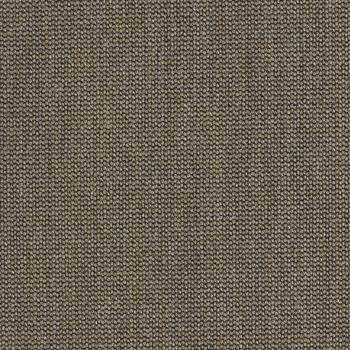 téléchargé (1).png